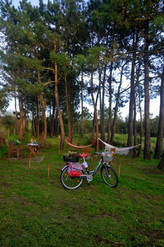 Happy Cat House - Holiday Rental São Martinho do Porto Exterior foto