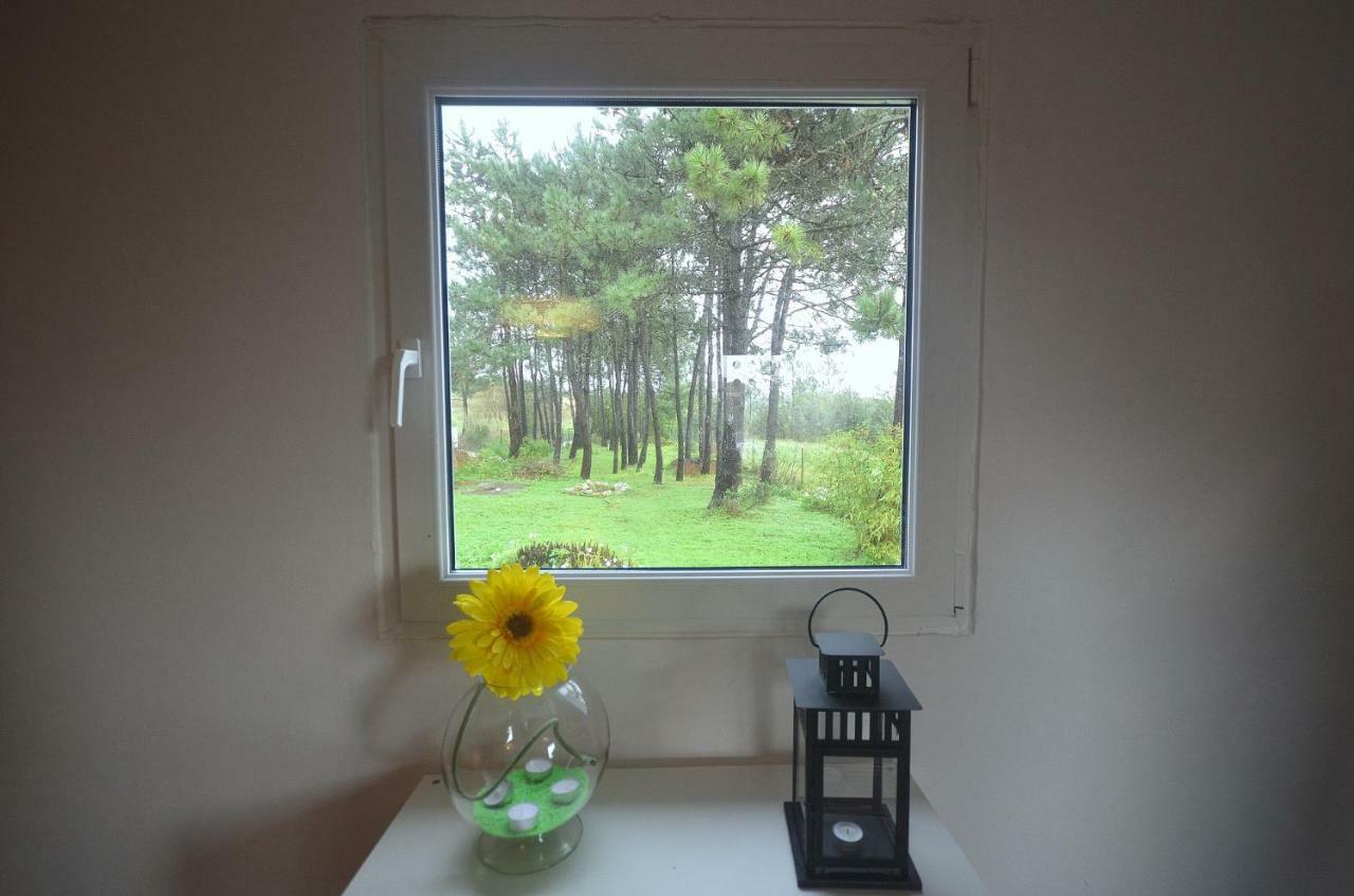 Happy Cat House - Holiday Rental São Martinho do Porto Exterior foto